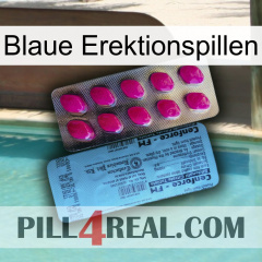 Blue Erection Pills 35